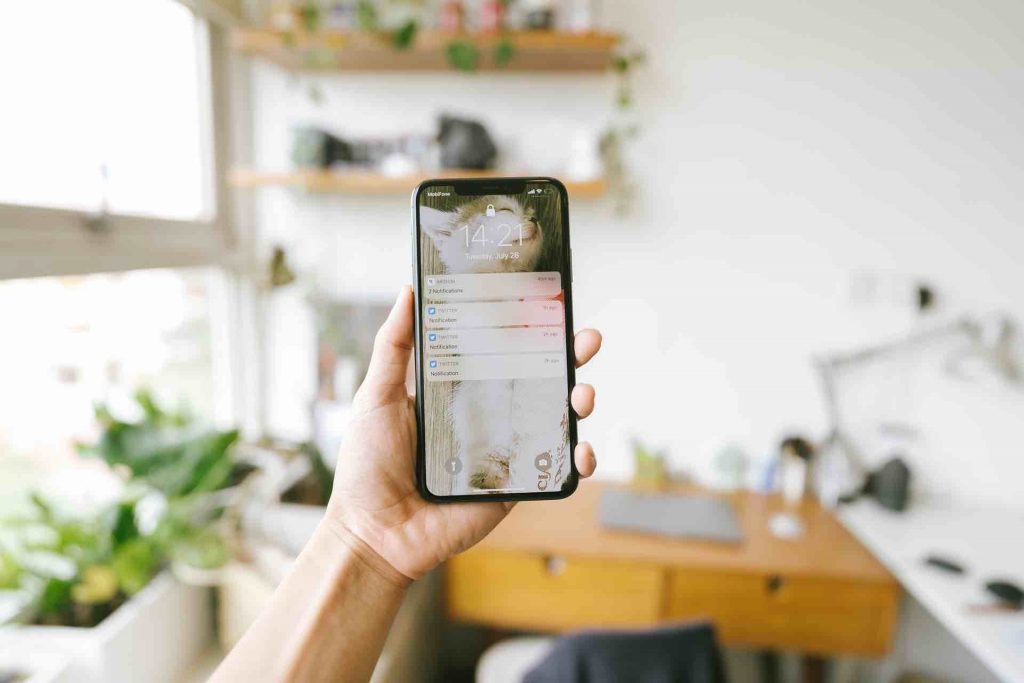 person holding phone